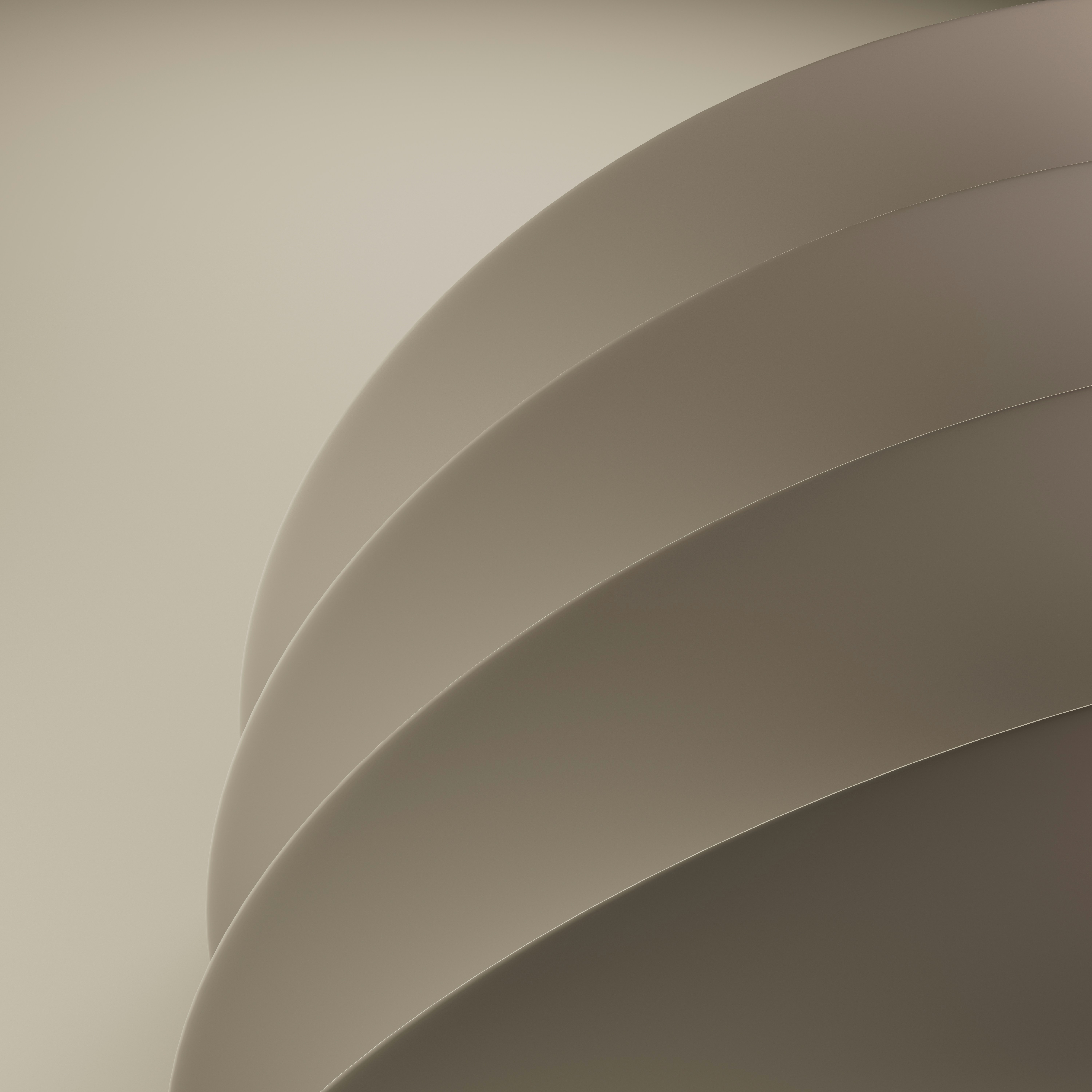 Pearla image with aesthetic lines