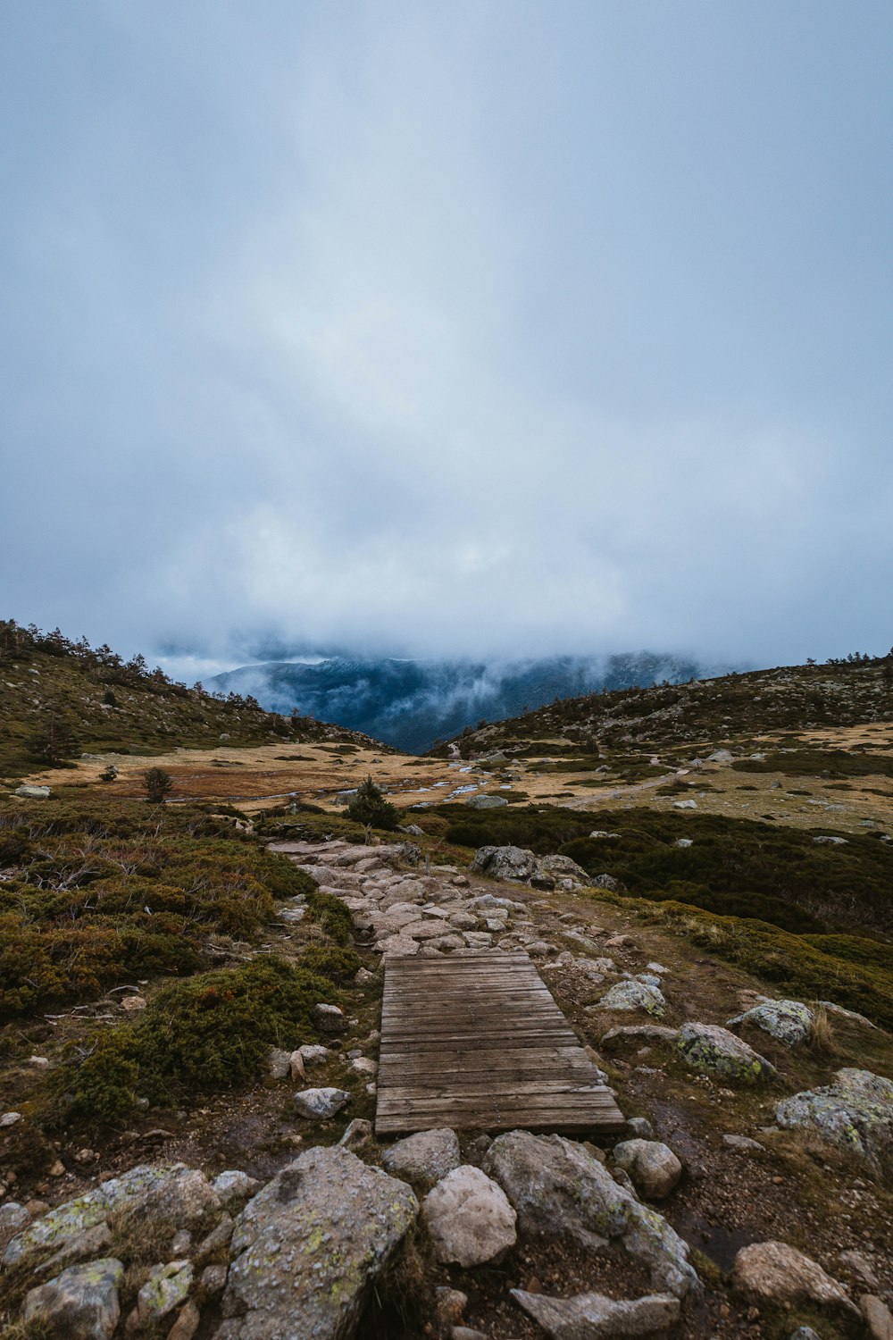 a wooden walkway in the middle of a field