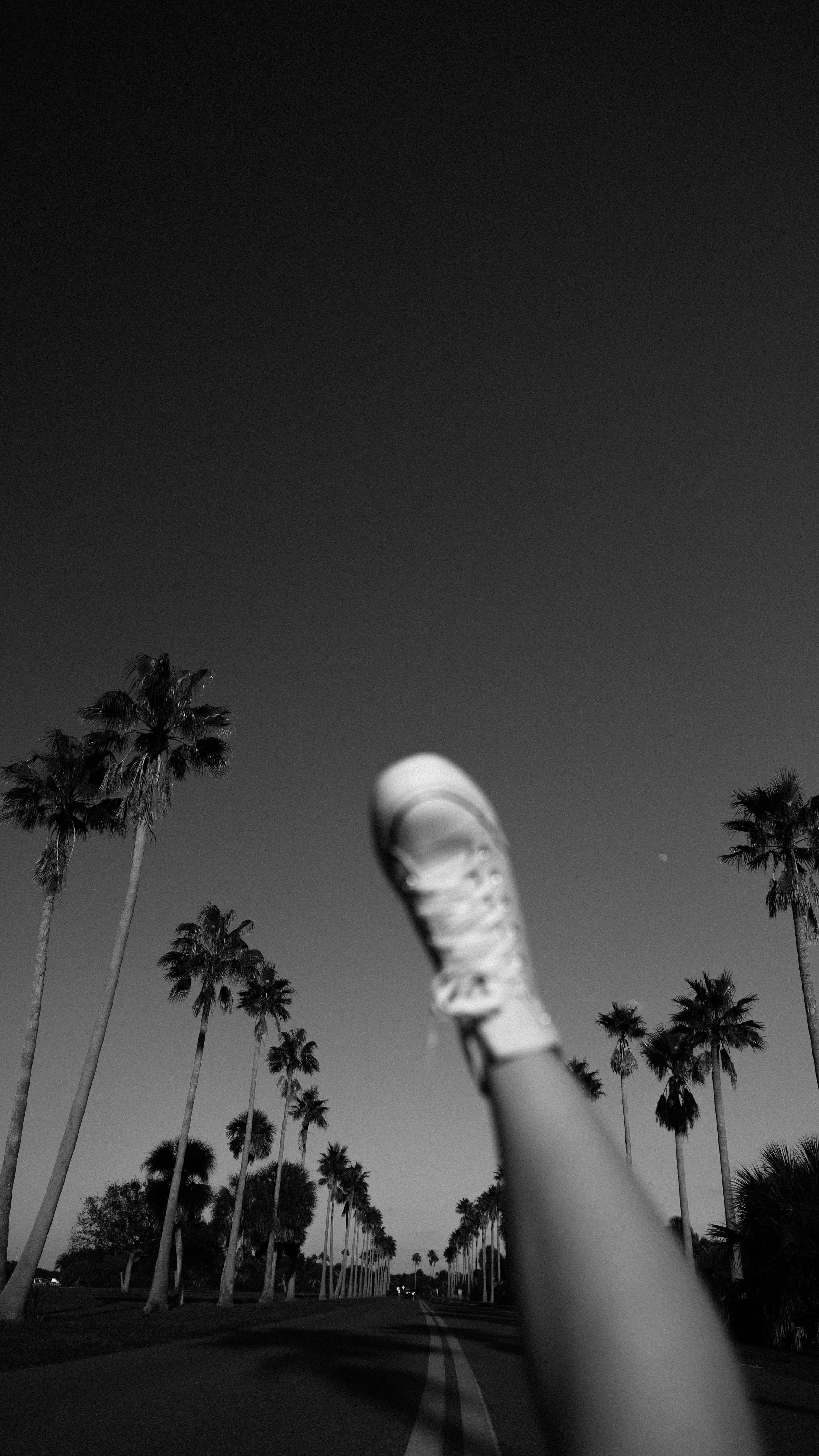 Florida Road photo 2