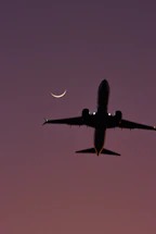 A sleek dark silhouette of the L39 Albatros cutting through a twilight sky