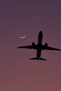 A sleek dark silhouette of the L39 Albatros cutting through a twilight sky