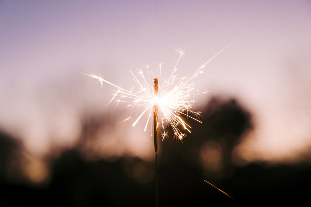 a close up of a sparkler with a sky in the background