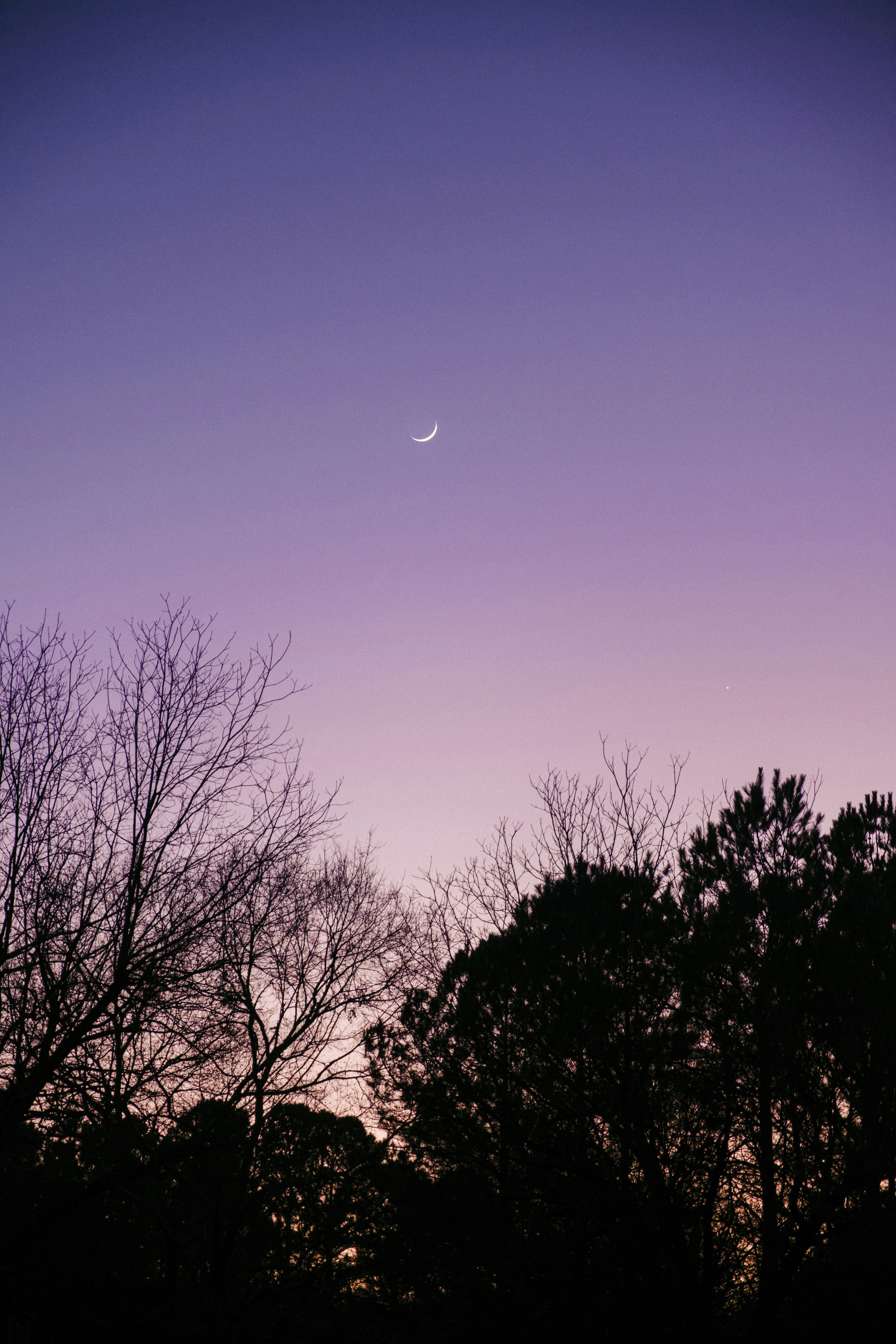 Photo by colinandmeg