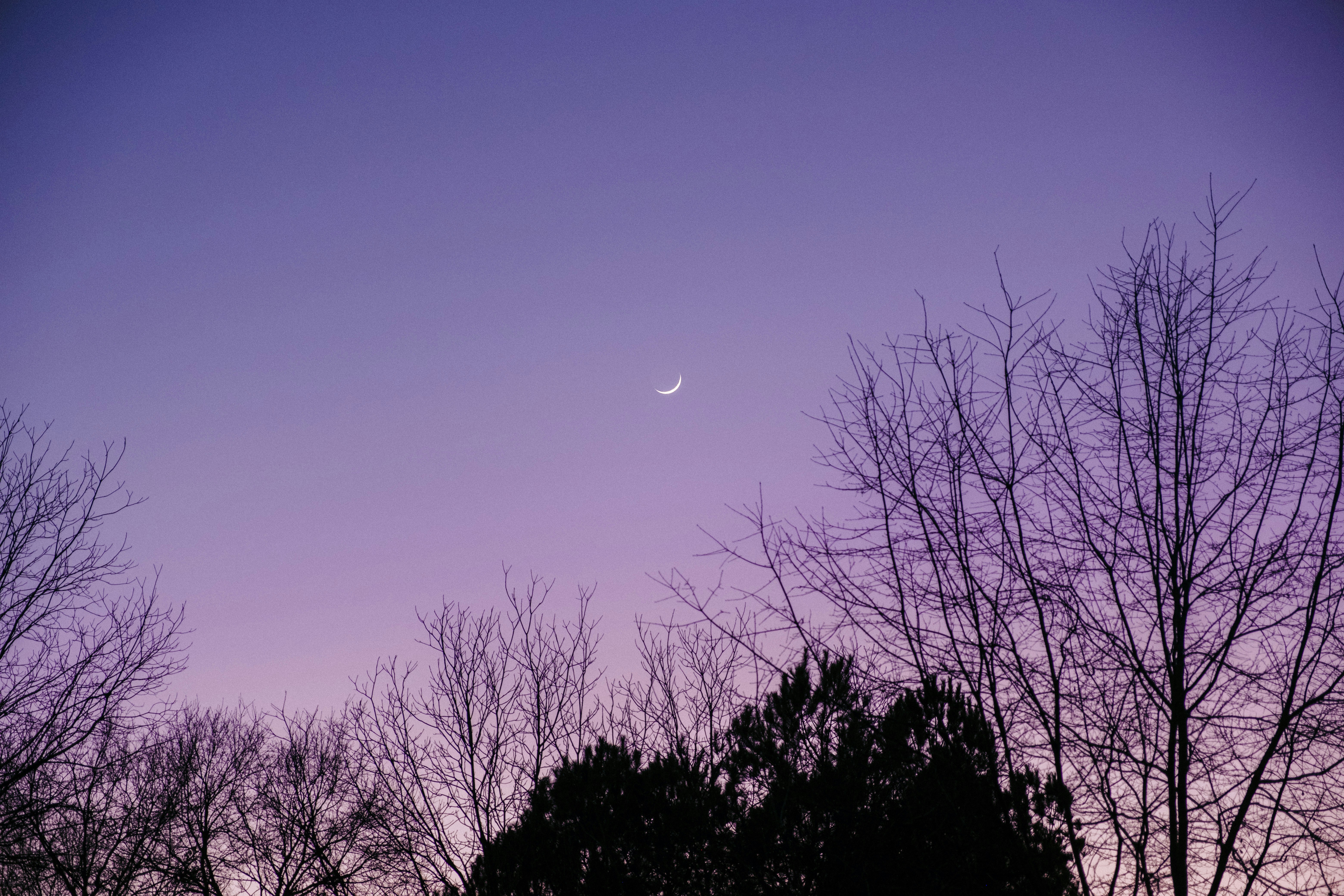 Photo by colinandmeg