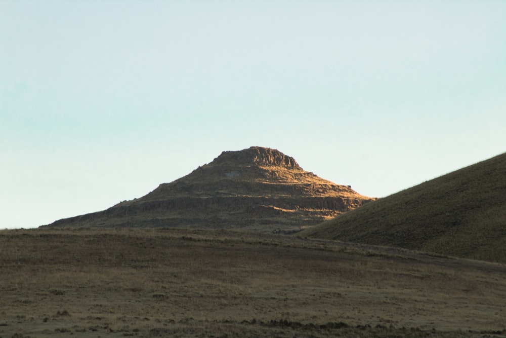 a lone horse standing in the middle of a field