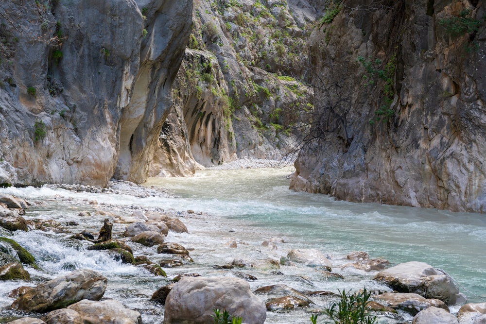 a river flowing through a rocky canyon next to a forest