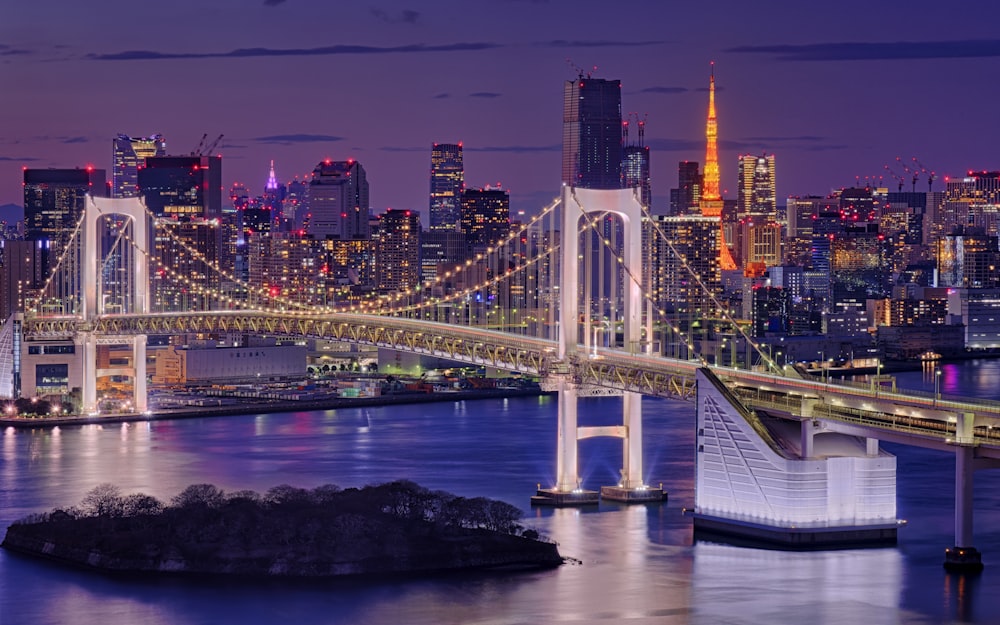 a large bridge over a large body of water