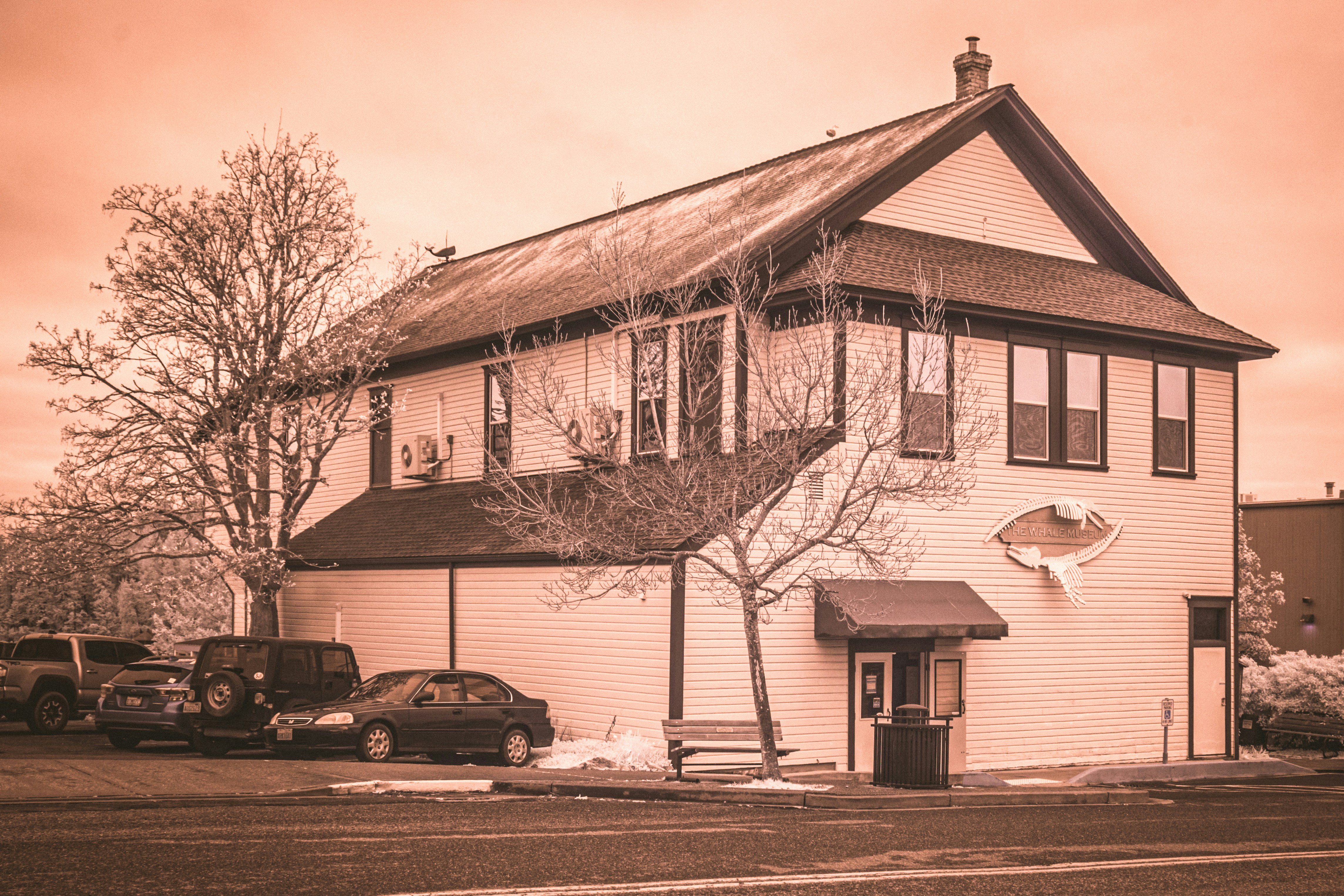 Photo by creepyhands