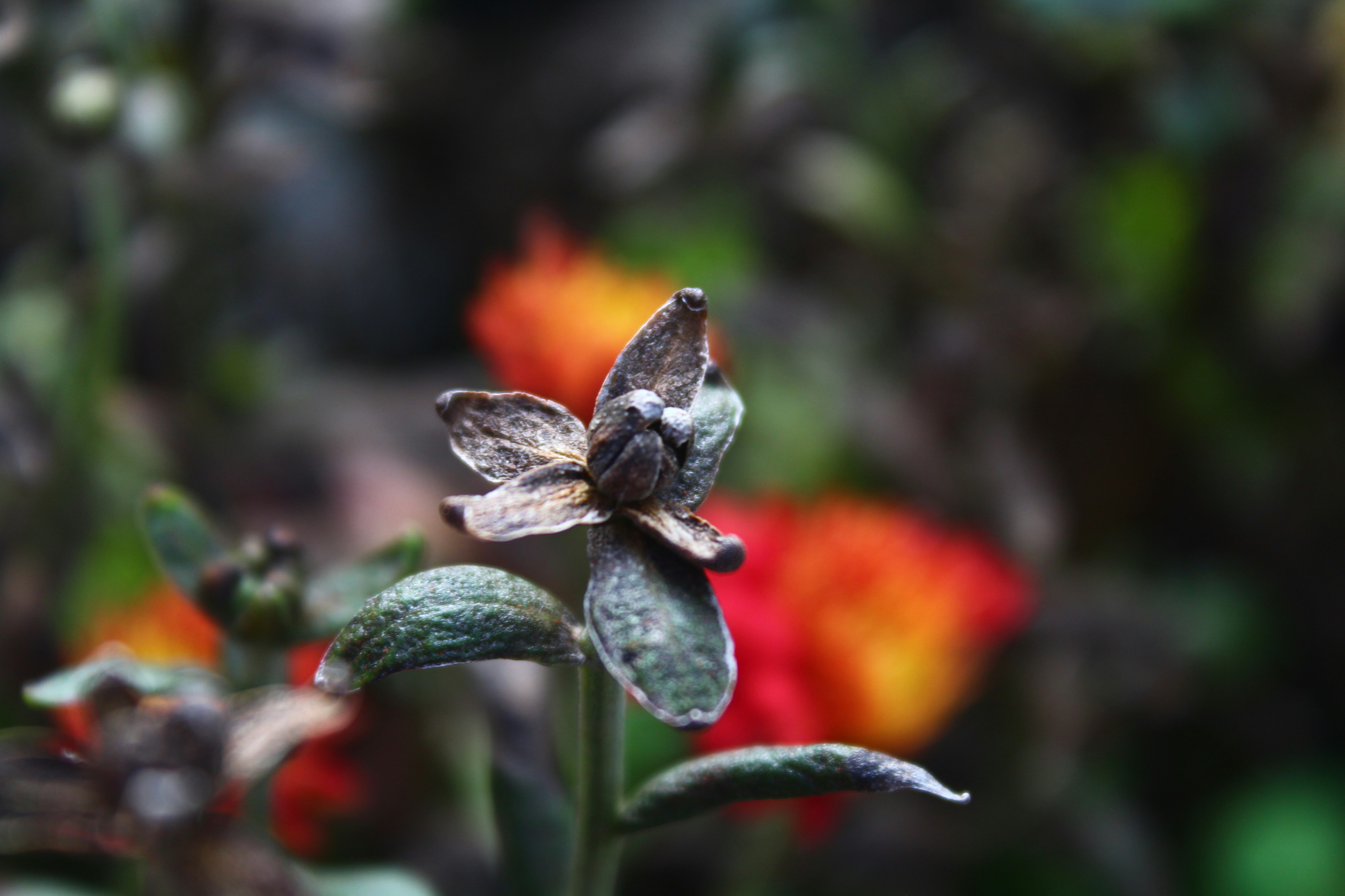 Photo by 139diana