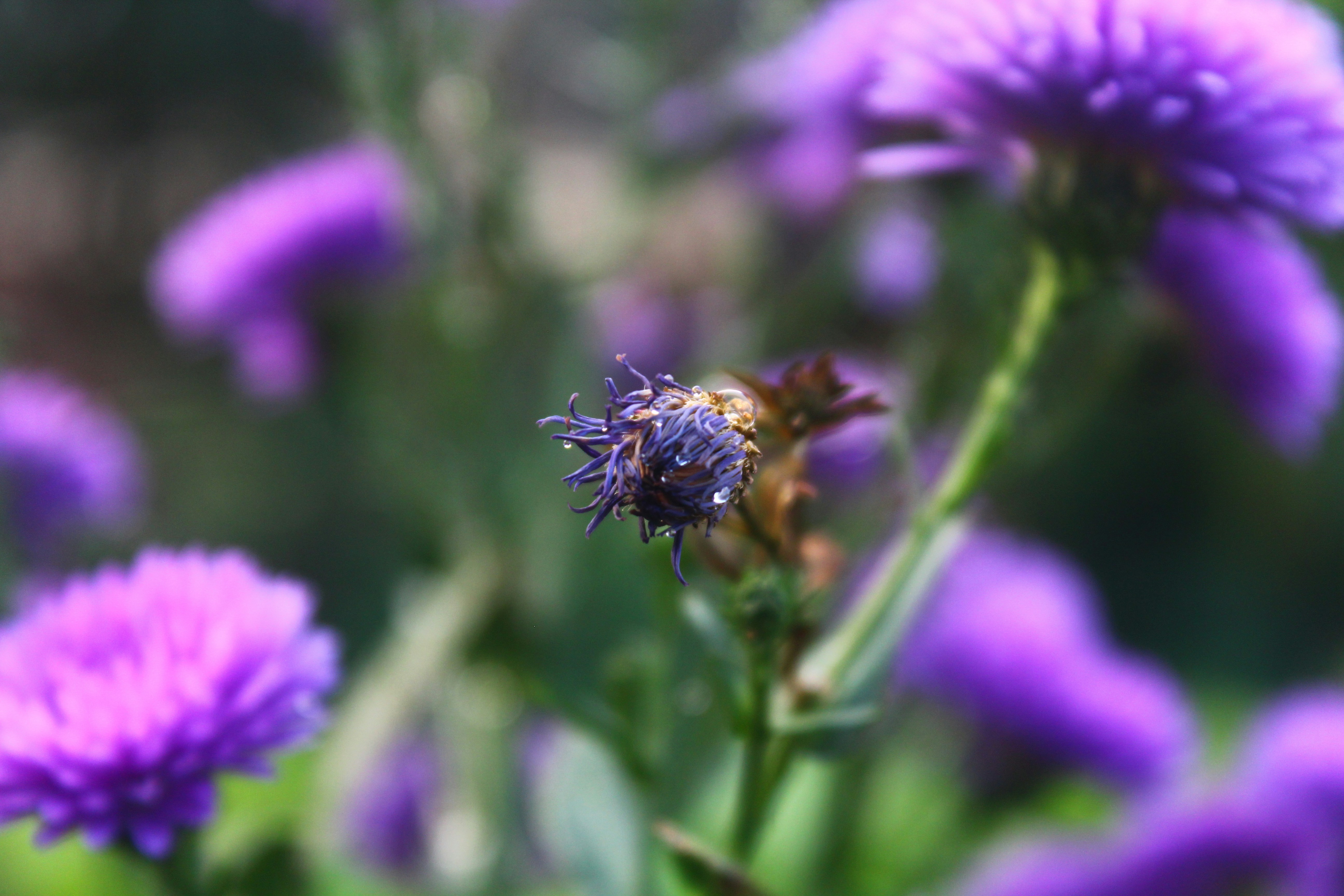 Photo by 139diana