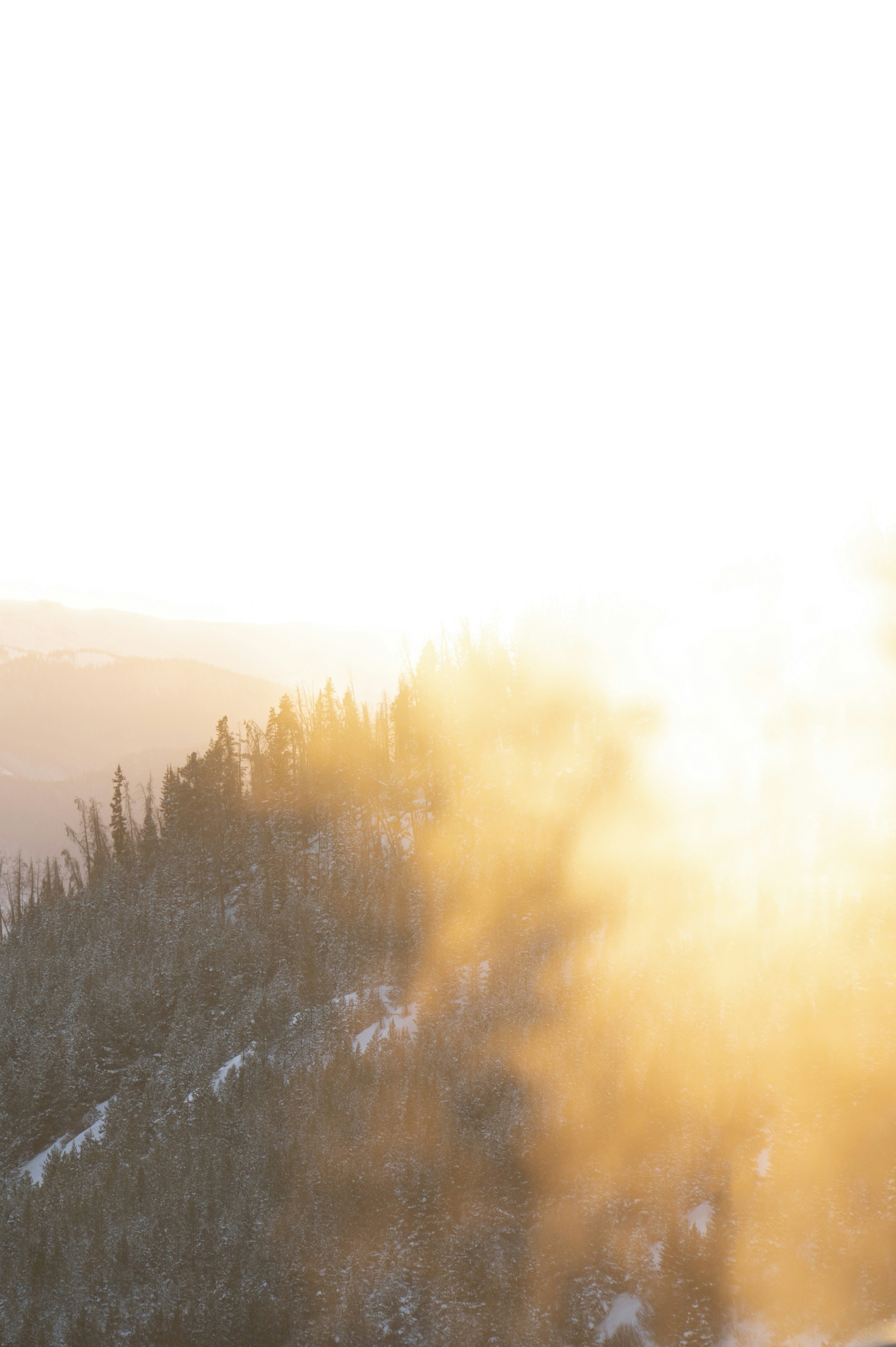 Photo by madisonkuhn