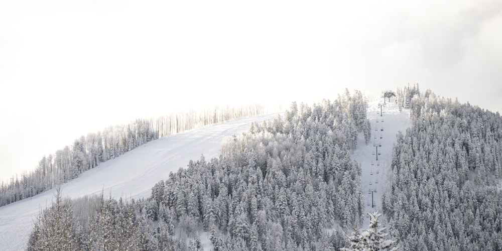 uma montanha coberta de neve com um teleférico em cima dela