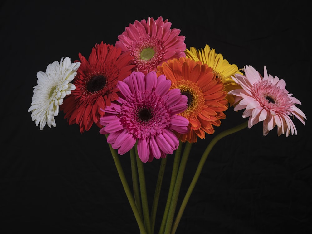 a bunch of colorful flowers in a vase