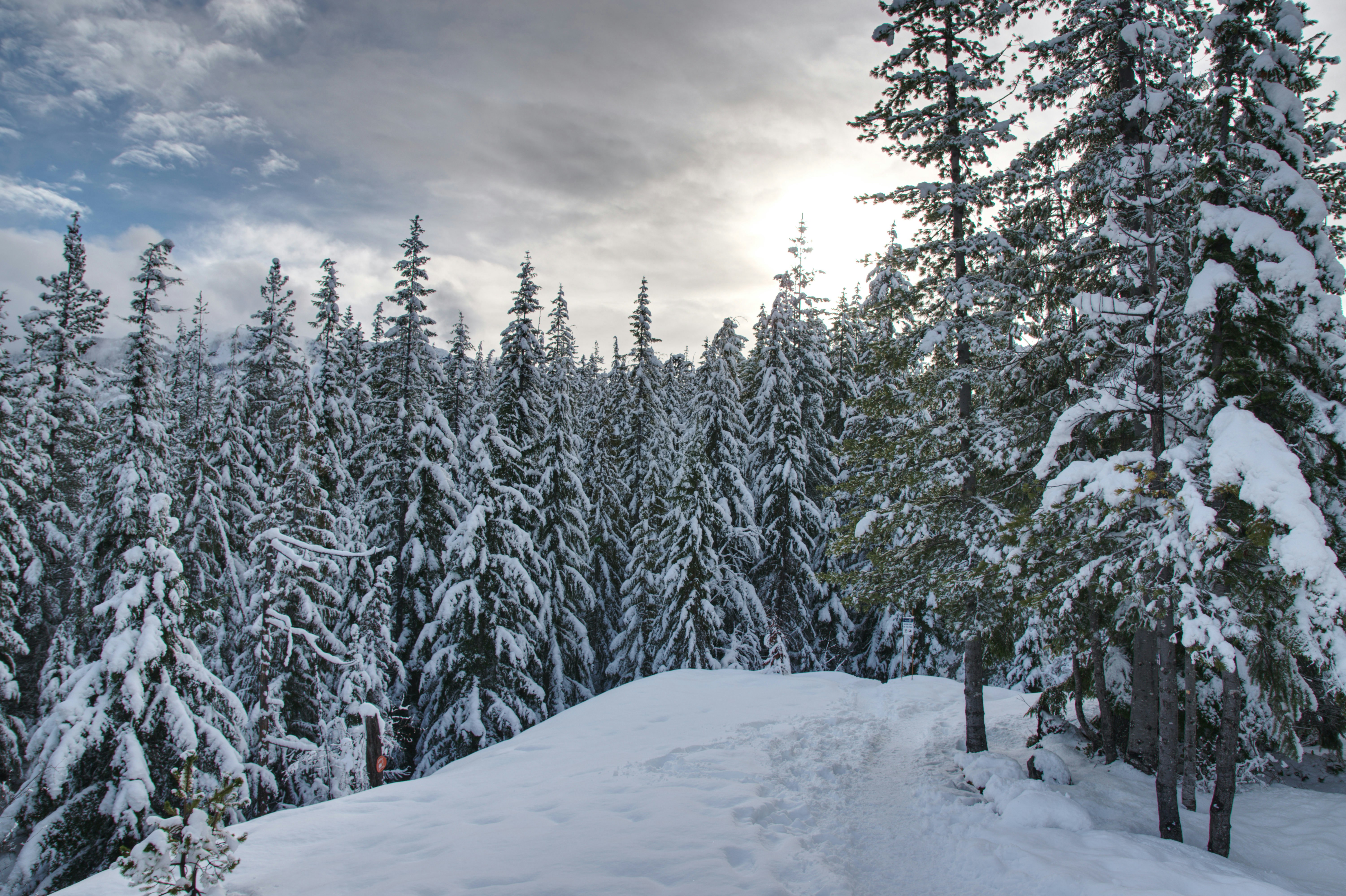 Photo by anastasiya_dal