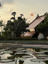 a large pond with lily pads in front of a house