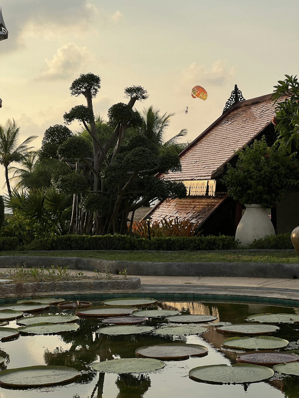 a large pond with lily pads in front of a house