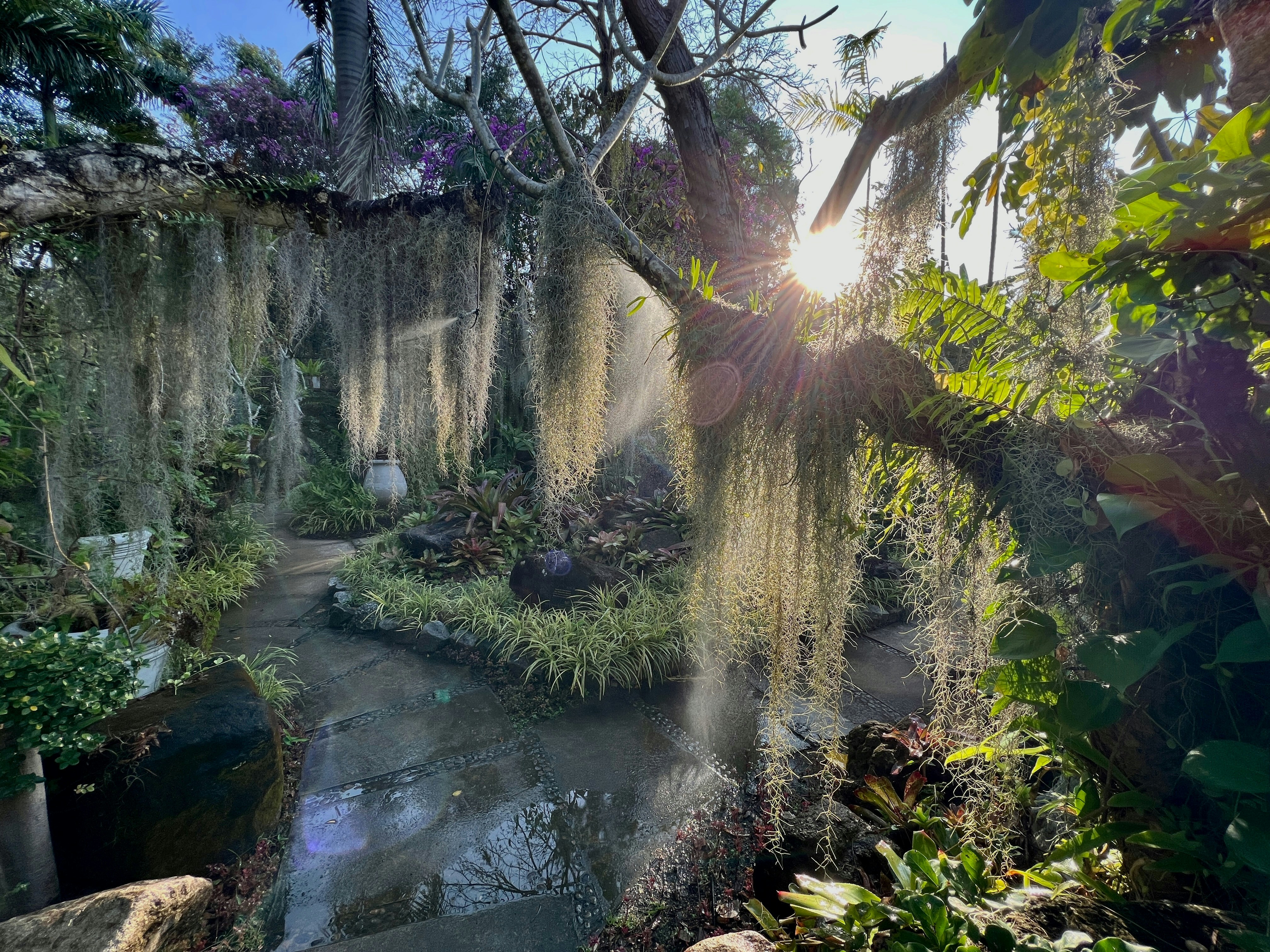 Kayaking through crystal springs in Florida