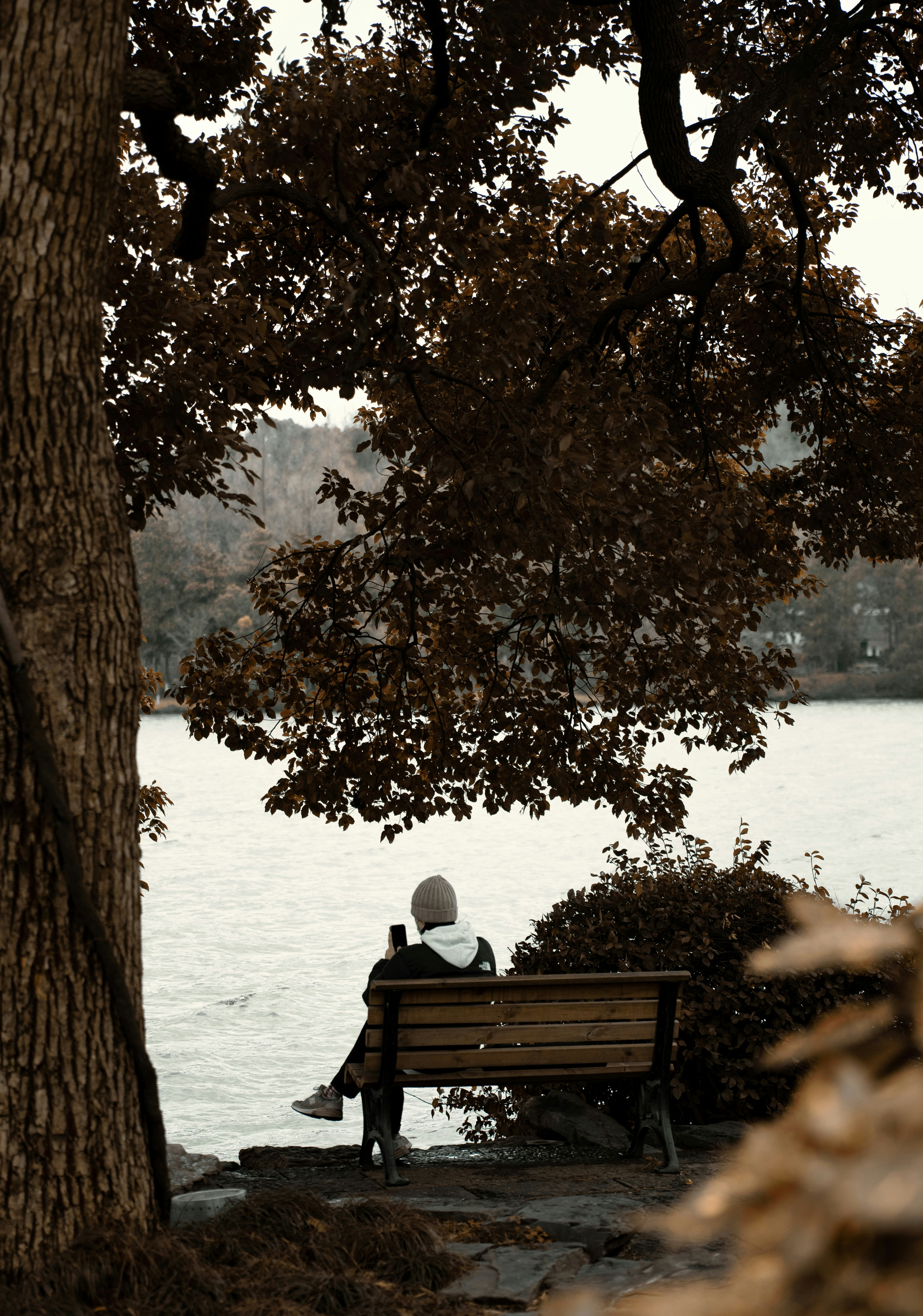 Photo by yoyoand