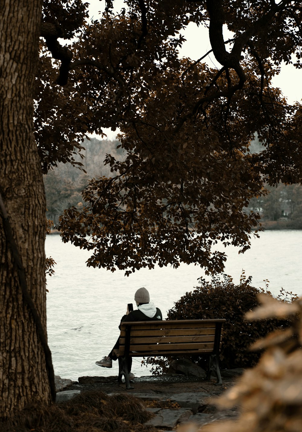 two people sitting on a bench next to a tree