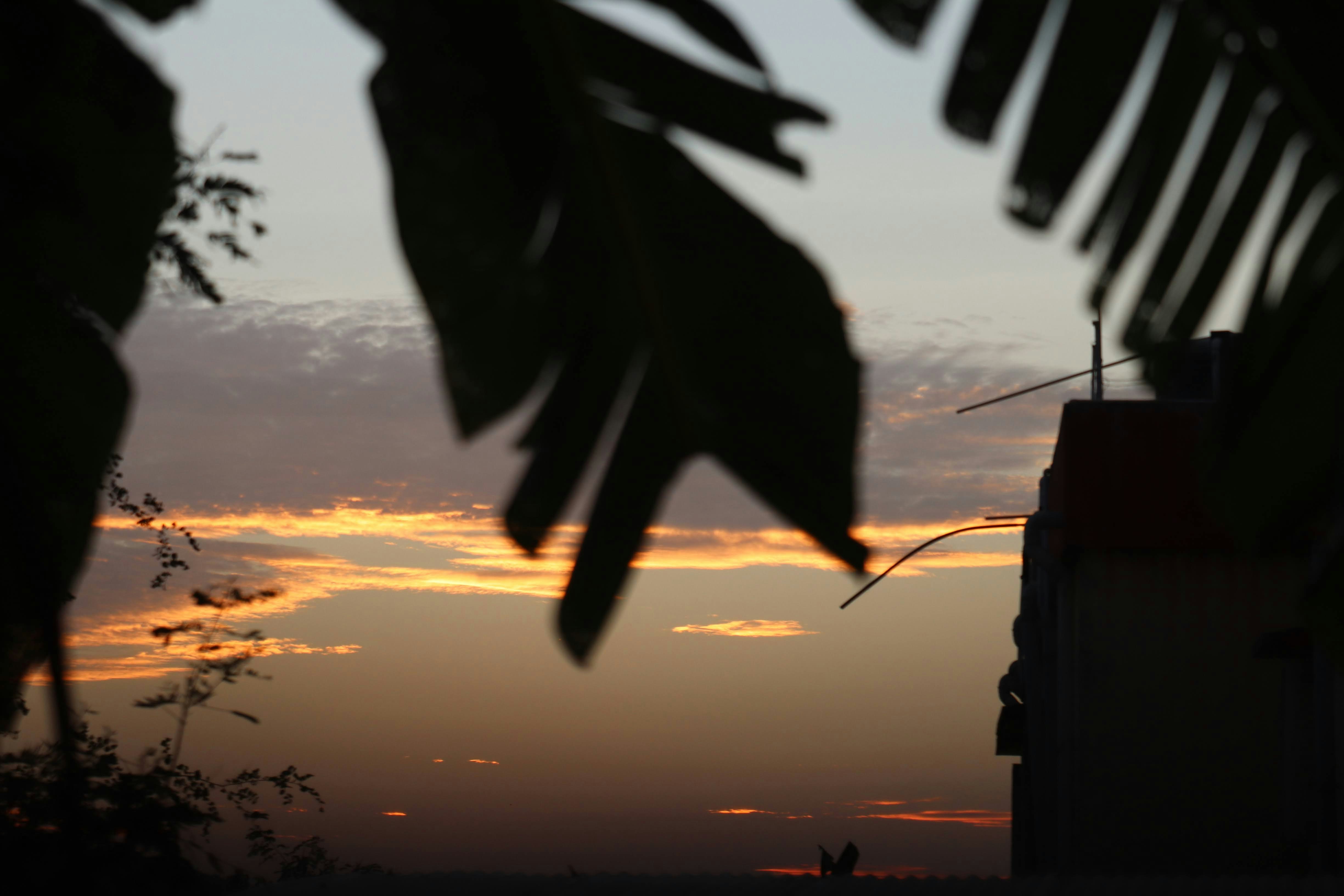 단기간에 살 빼는 법! 2주만에 -5kg 가능할까?