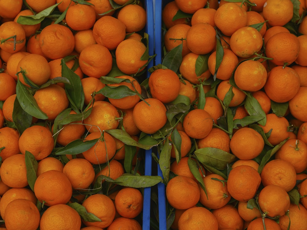 a pile of oranges with green leaves on them