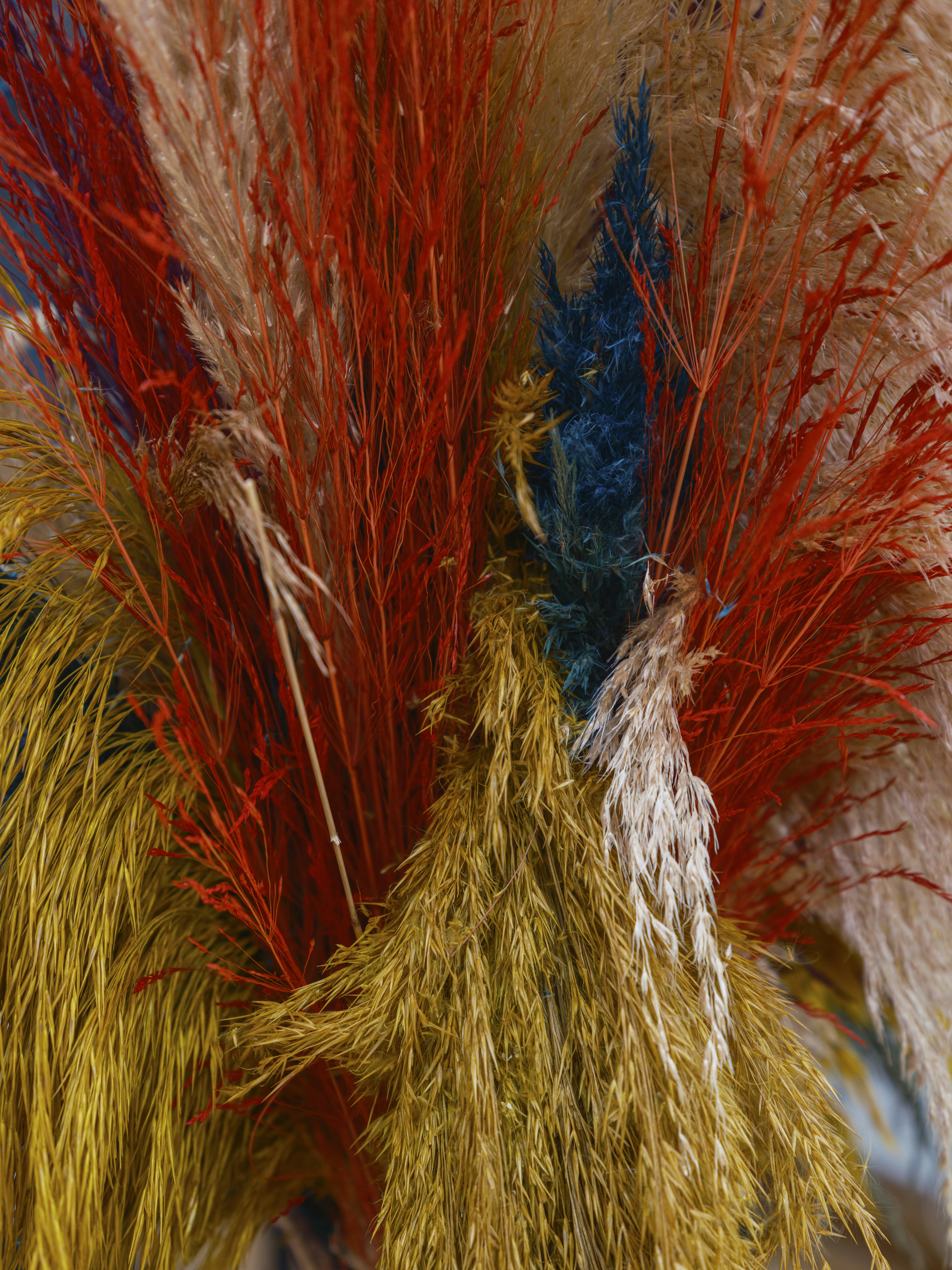 Photo by enginakyurt