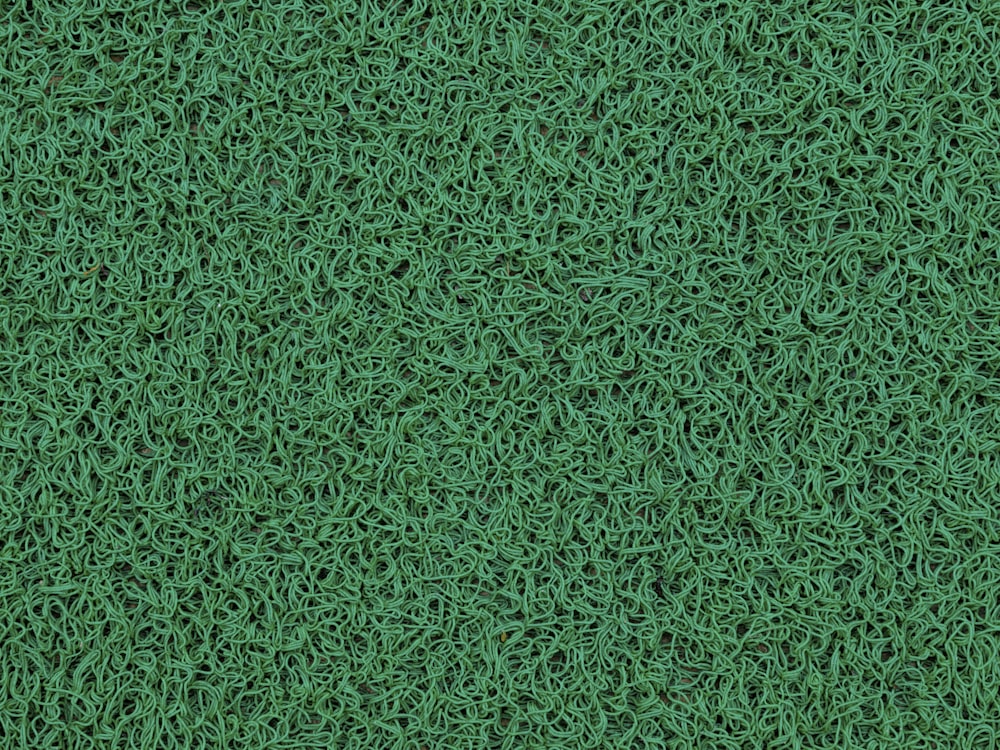 a close up of a green grass texture photo – Free Texture Image on Unsplash