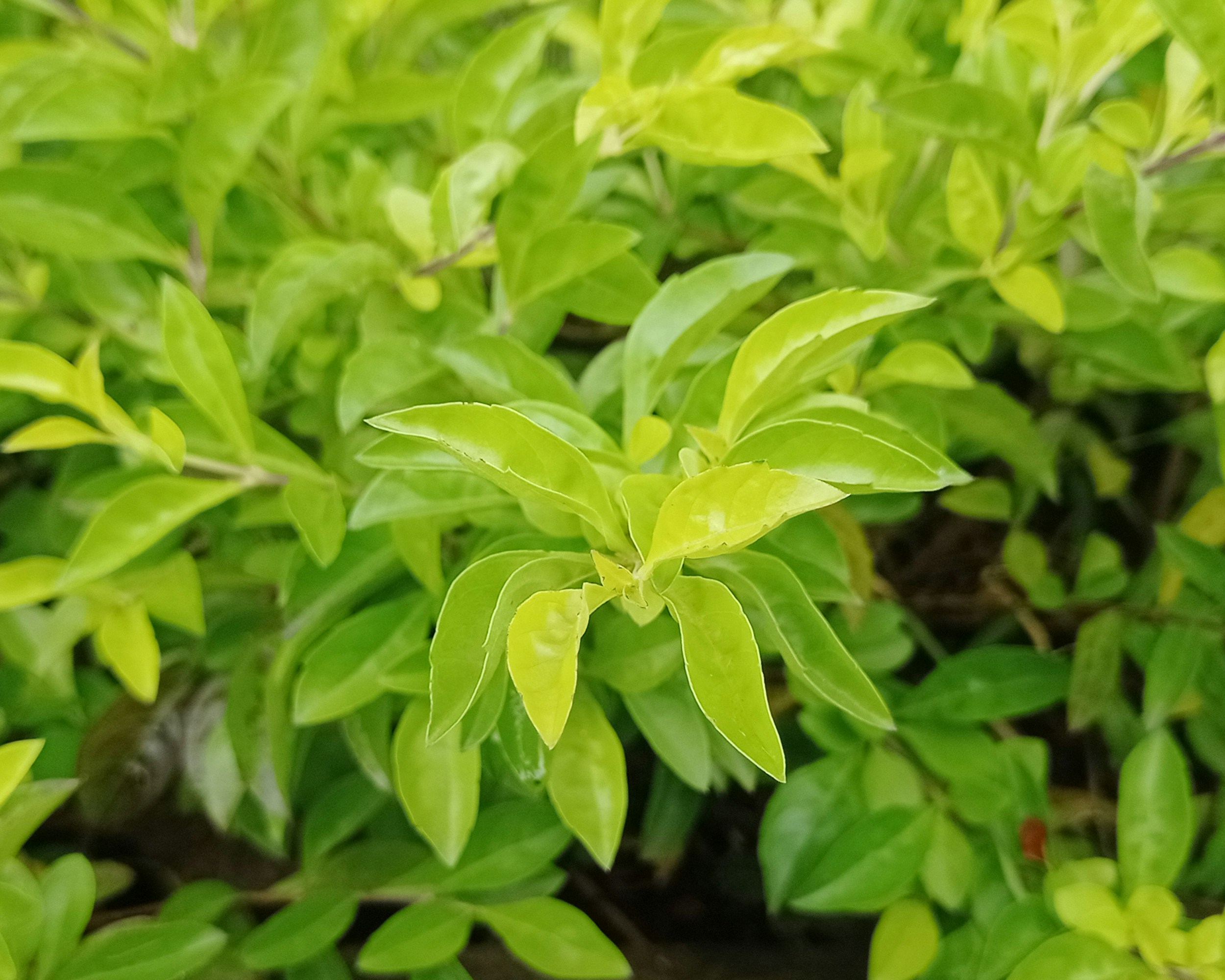 Photo by arkan_maker