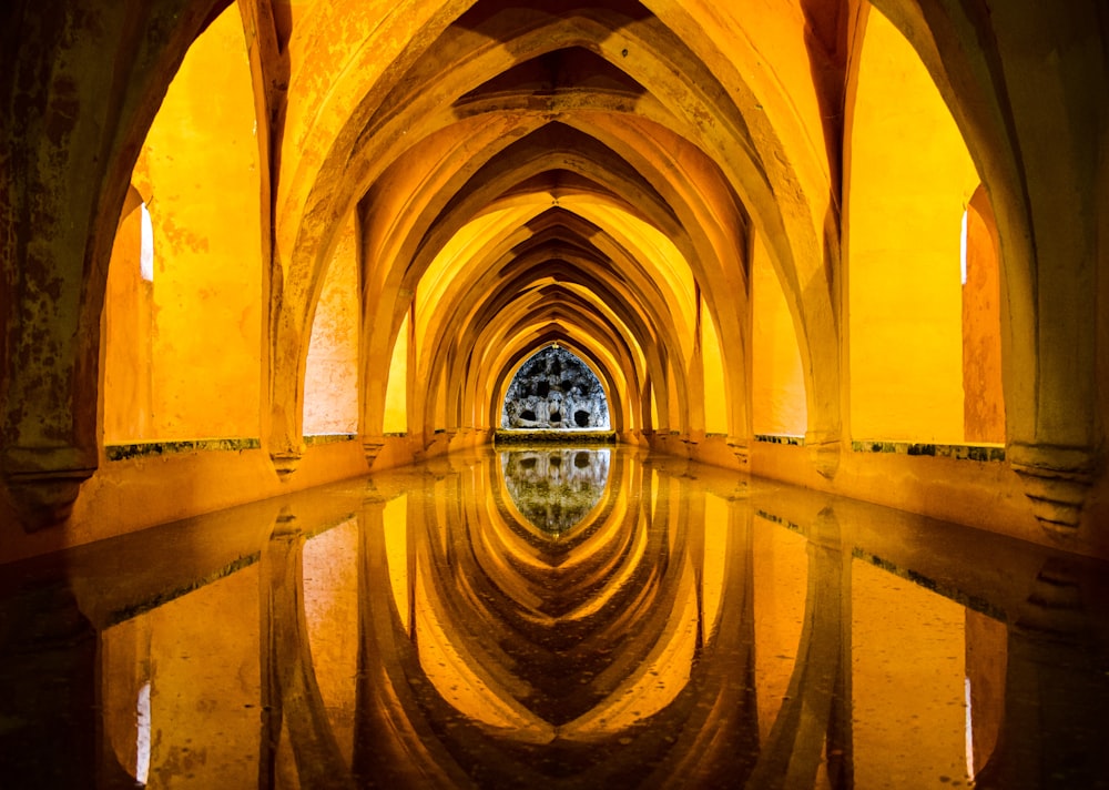 un long couloir avec un reflet dans l’eau