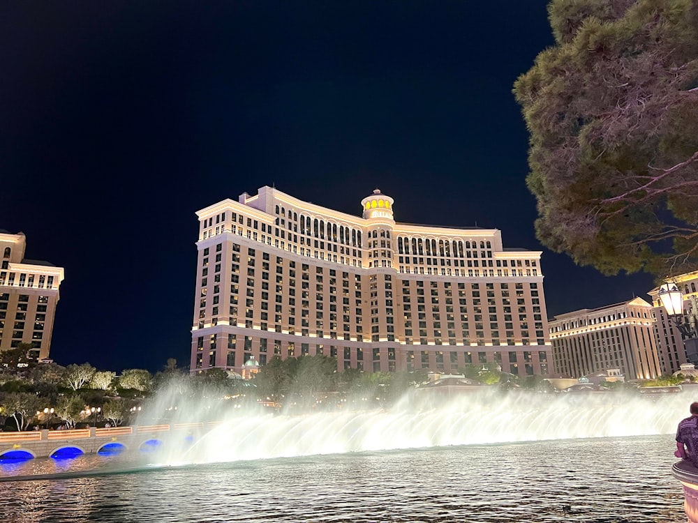 Un uomo in piedi davanti a una fontana di fronte a un hotel