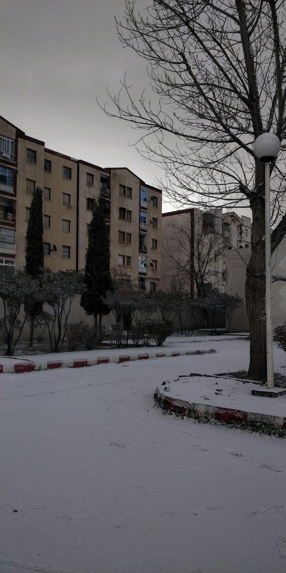 a snow covered park with a tree and buildings in the background