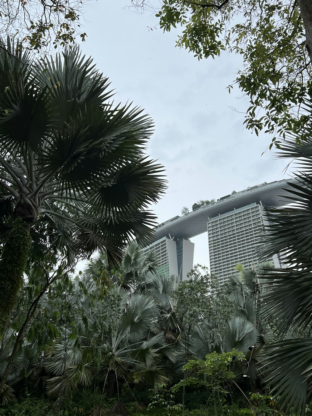 a very tall building surrounded by lots of trees