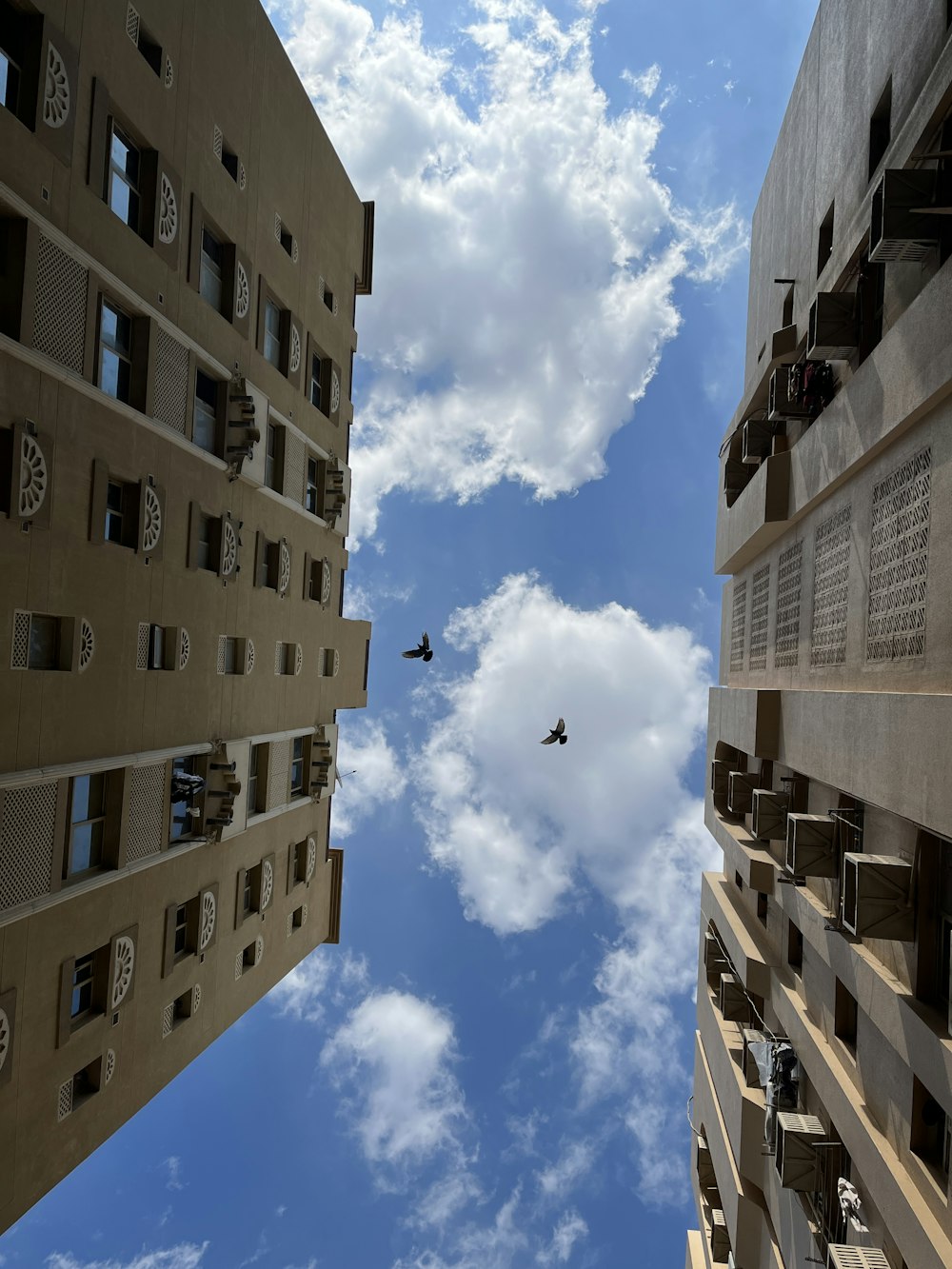 a couple of birds flying through a cloudy blue sky