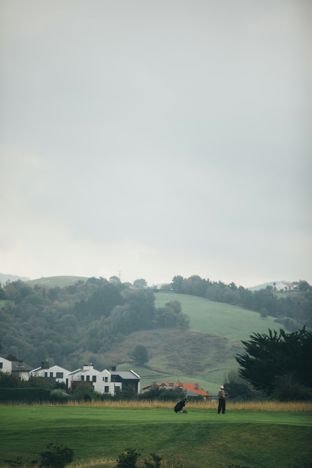 a couple of people standing on top of a lush green field