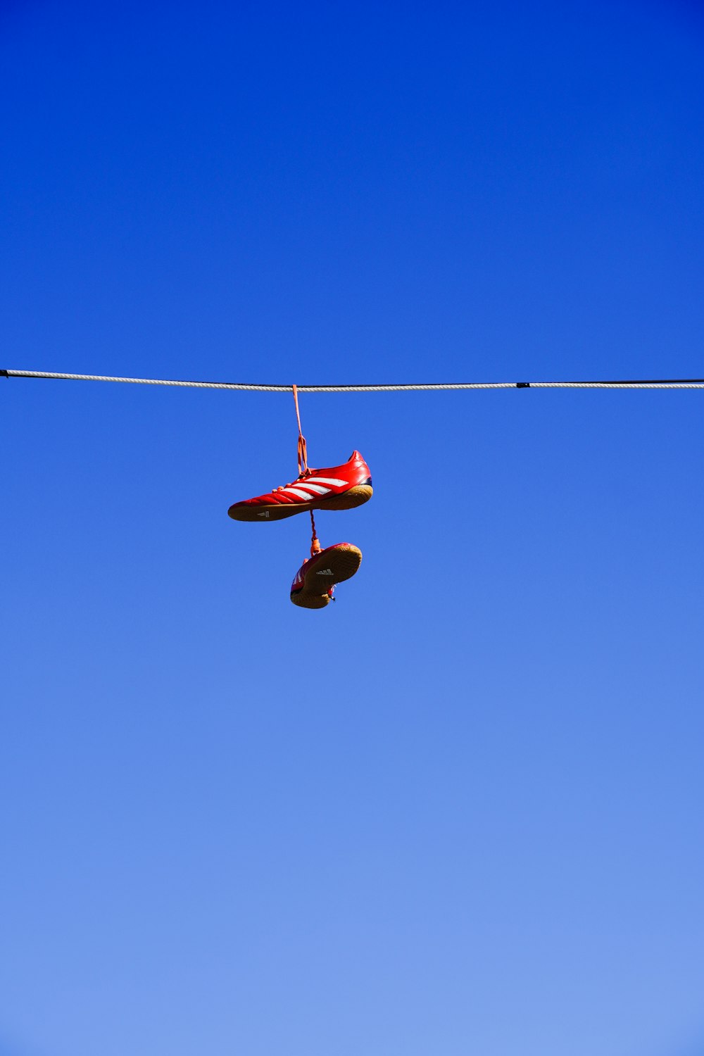 a pair of red shoes hanging from a wire