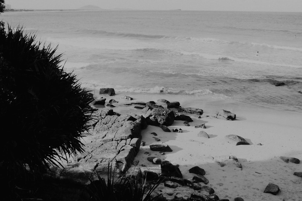 Una foto en blanco y negro de una playa