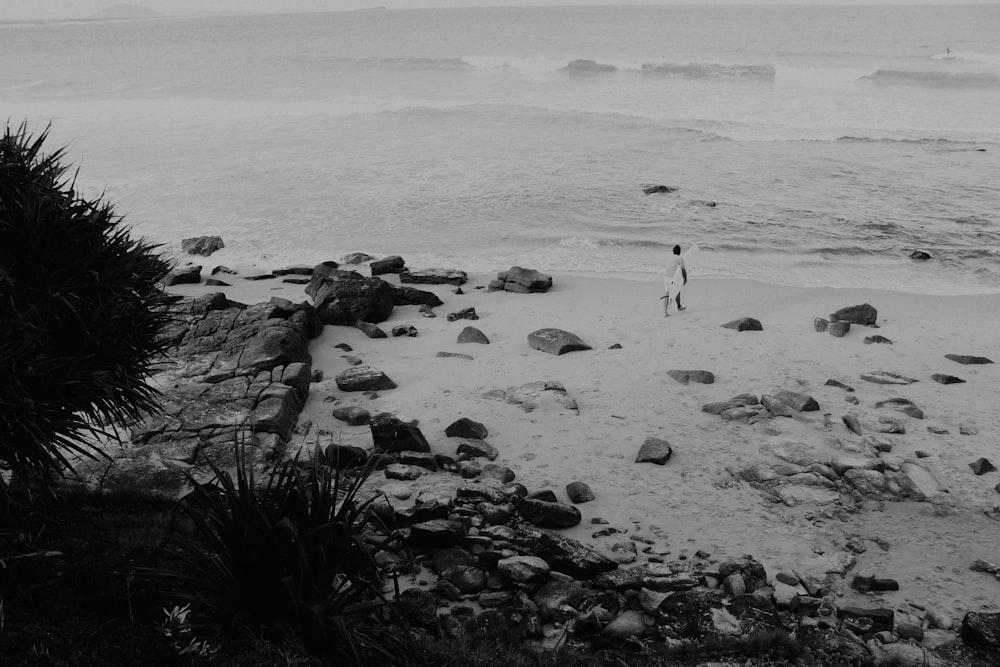 a person standing on a beach next to the ocean