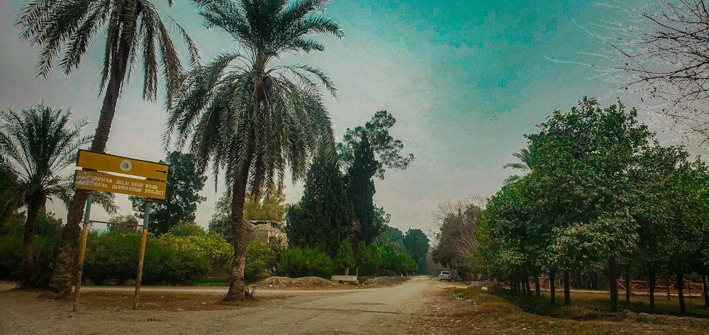 a dirt road with palm trees and a yellow sign