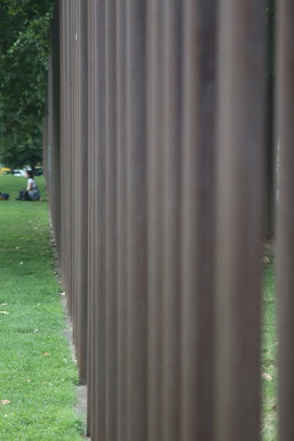 uma pessoa sentada em um banco em um parque