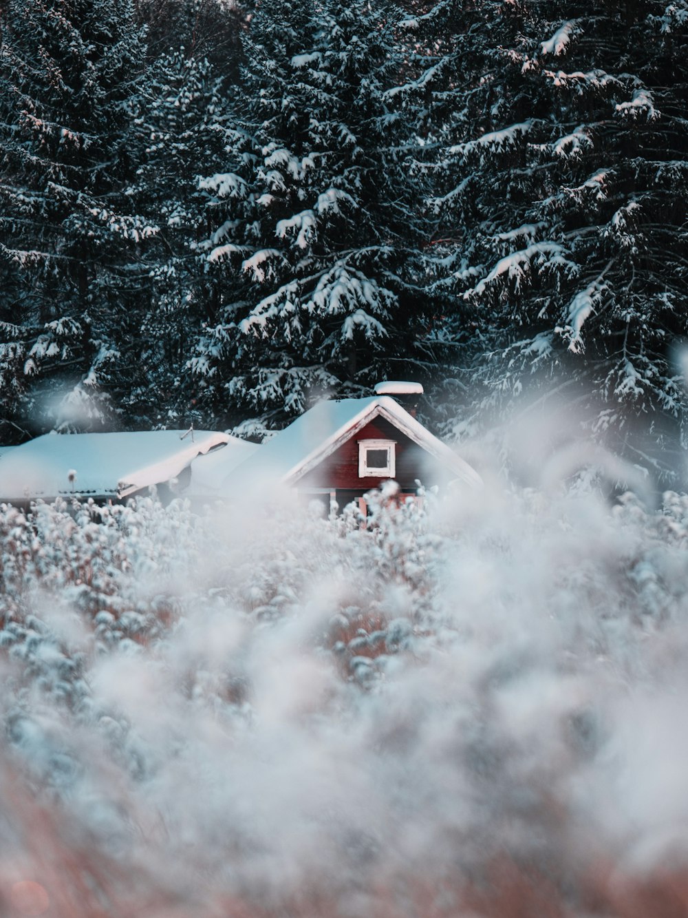 a house in the middle of a snowy field