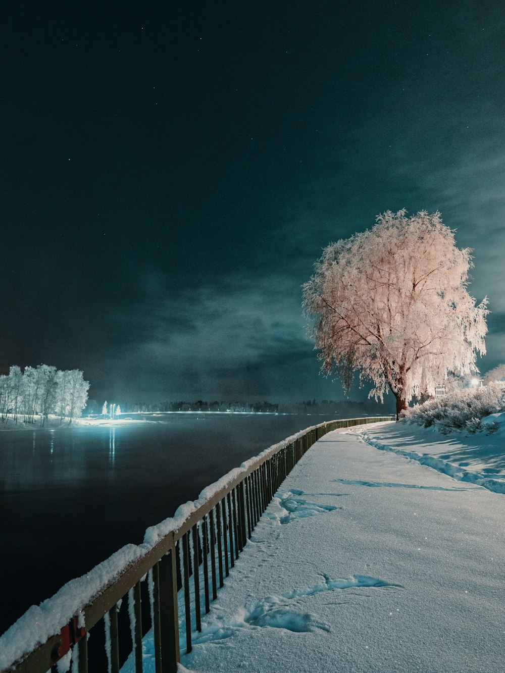 a snowy path next to a body of water at night