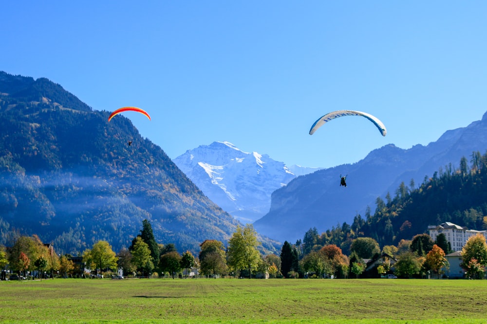 a couple of paraglides flying over a lush green field