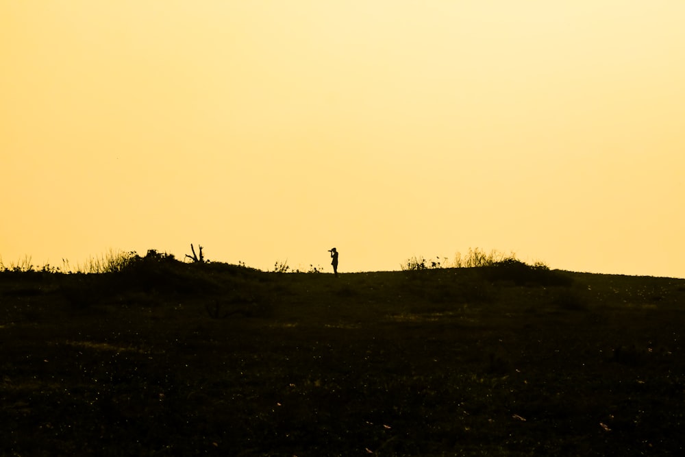 a person standing on top of a grass covered hill