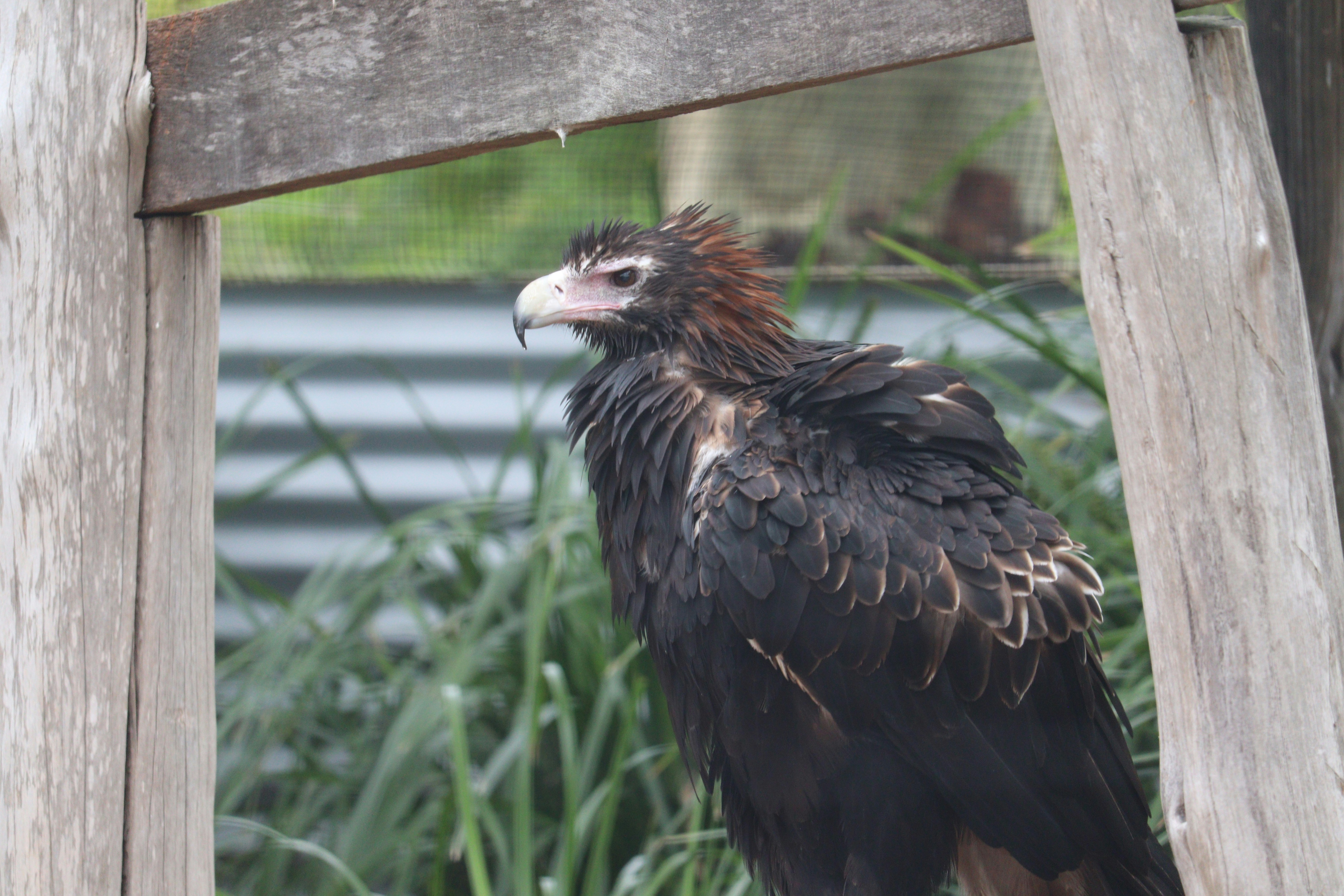 Photo by sandeepsapkota