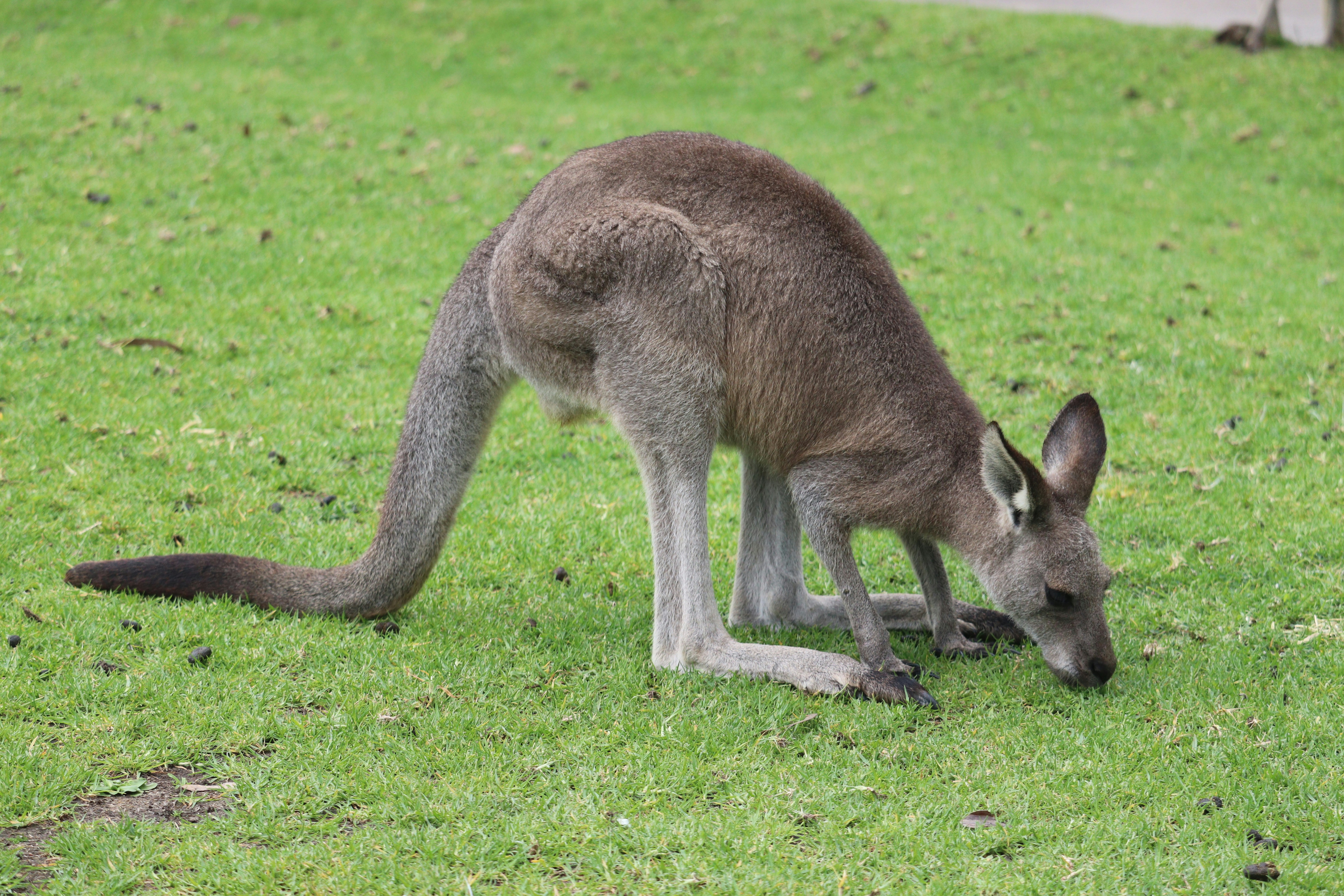 Photo by sandeepsapkota