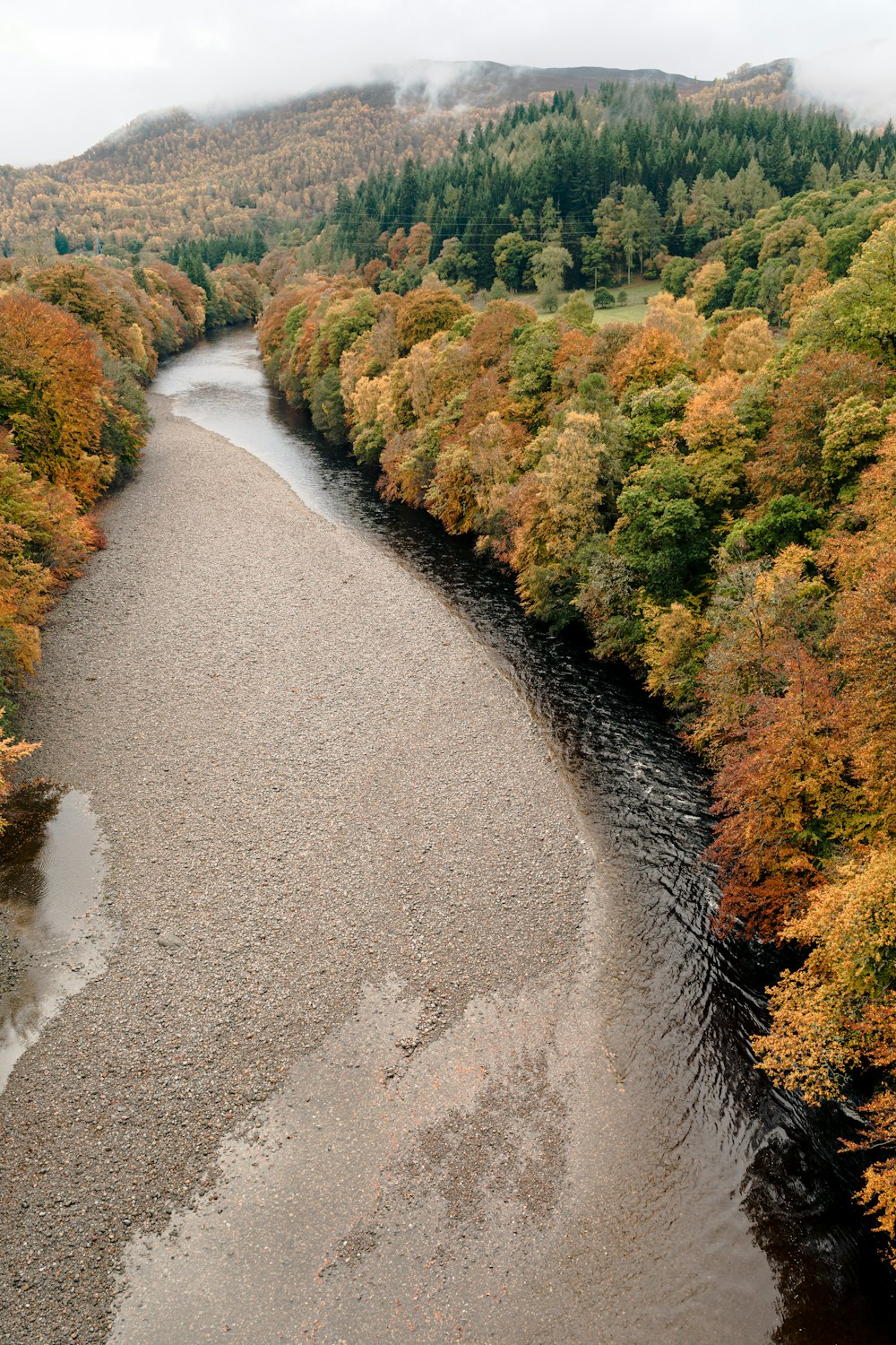 Un río que atraviesa un frondoso bosque verde