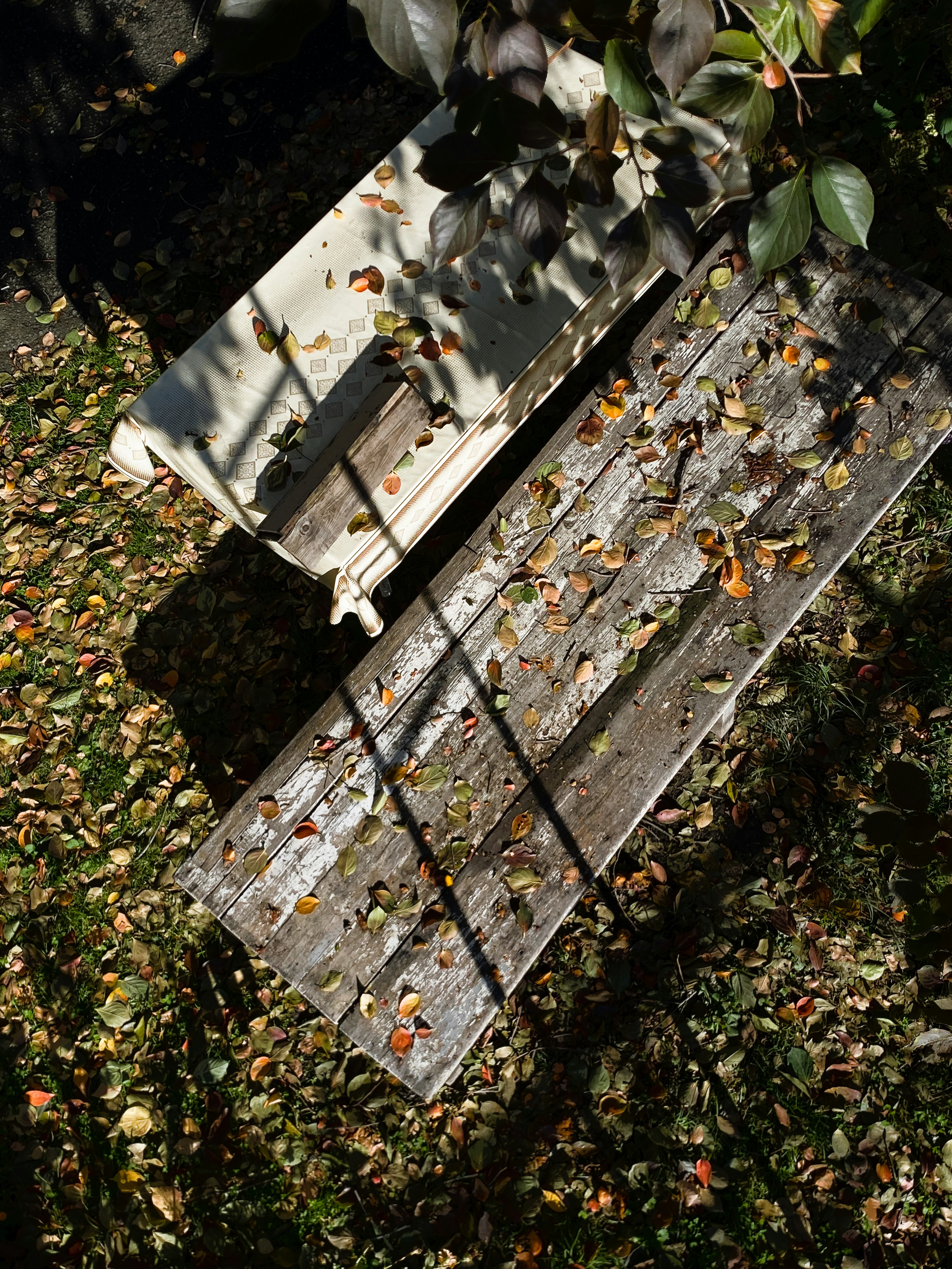 Photo by jamalyaliyazul