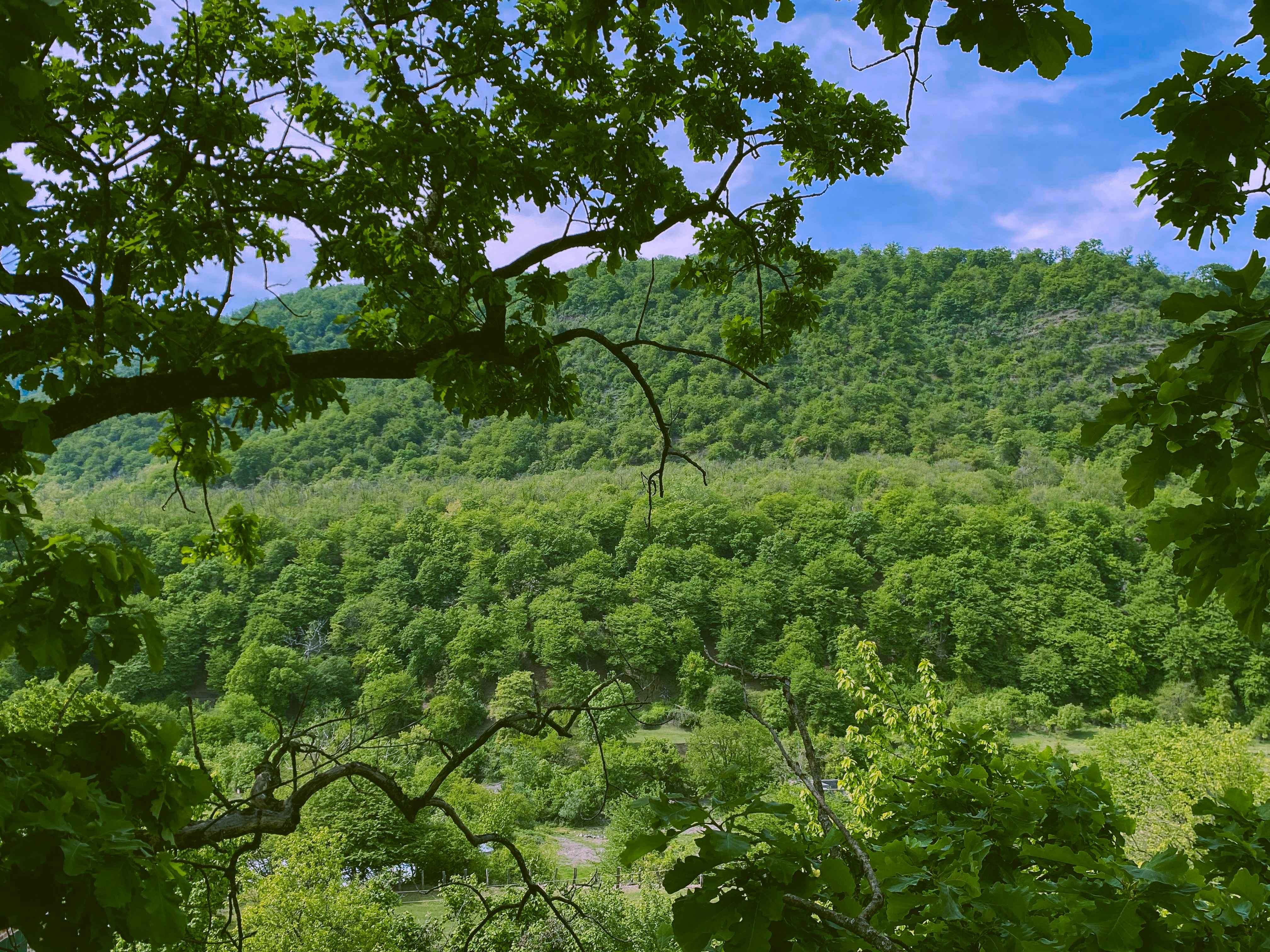 Photo by jamalyaliyazul