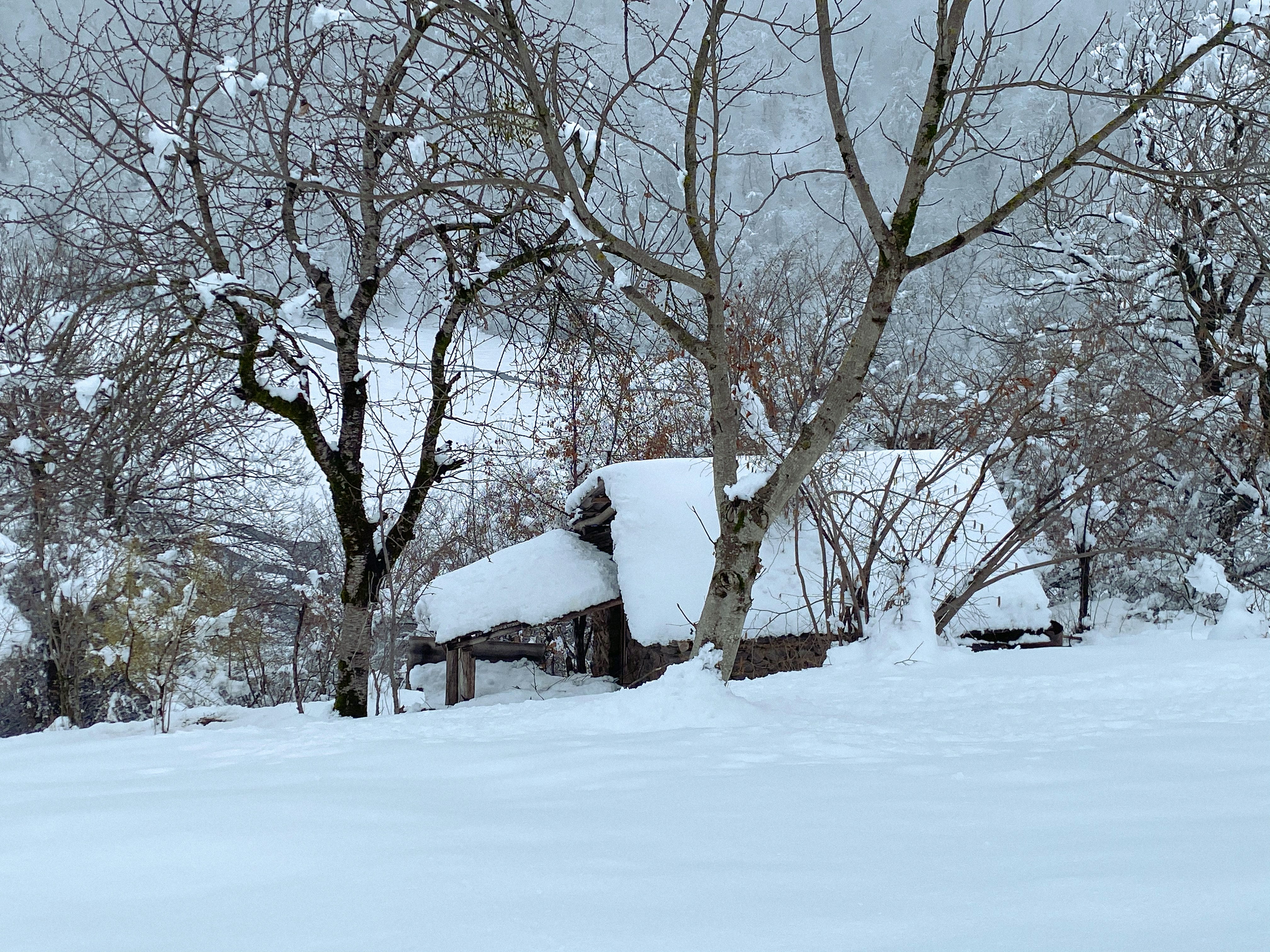 Photo by jamalyaliyazul