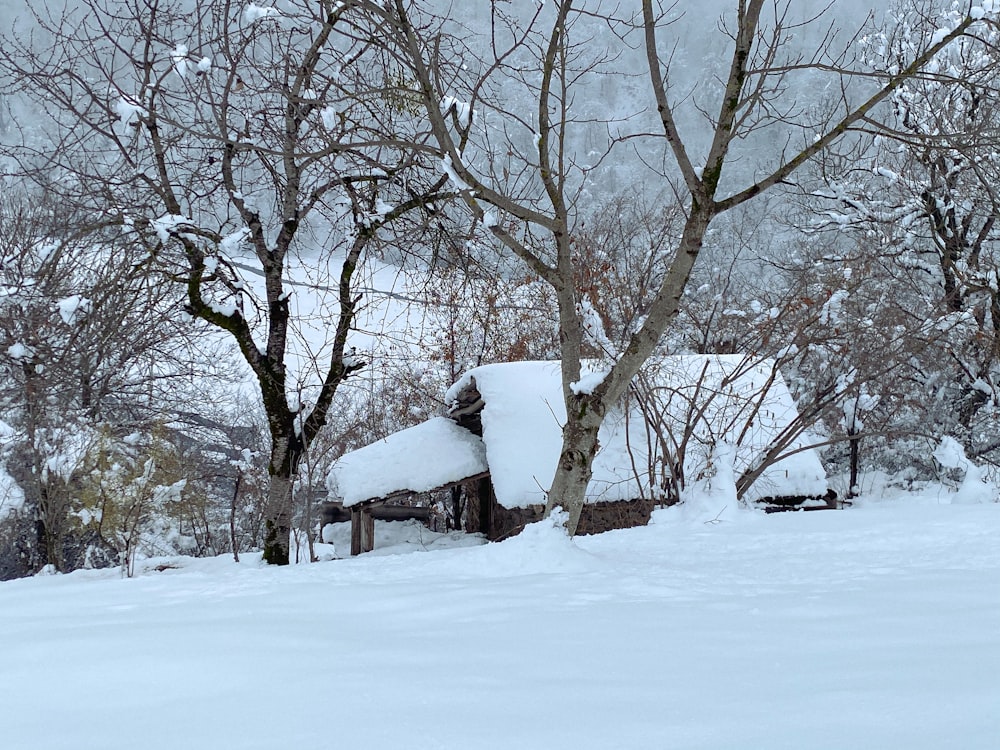 a house covered in snow next to a tree